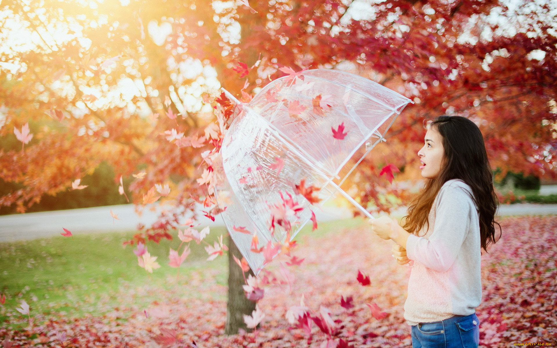 , -unsort , ,  , attack, of, autumn, , 